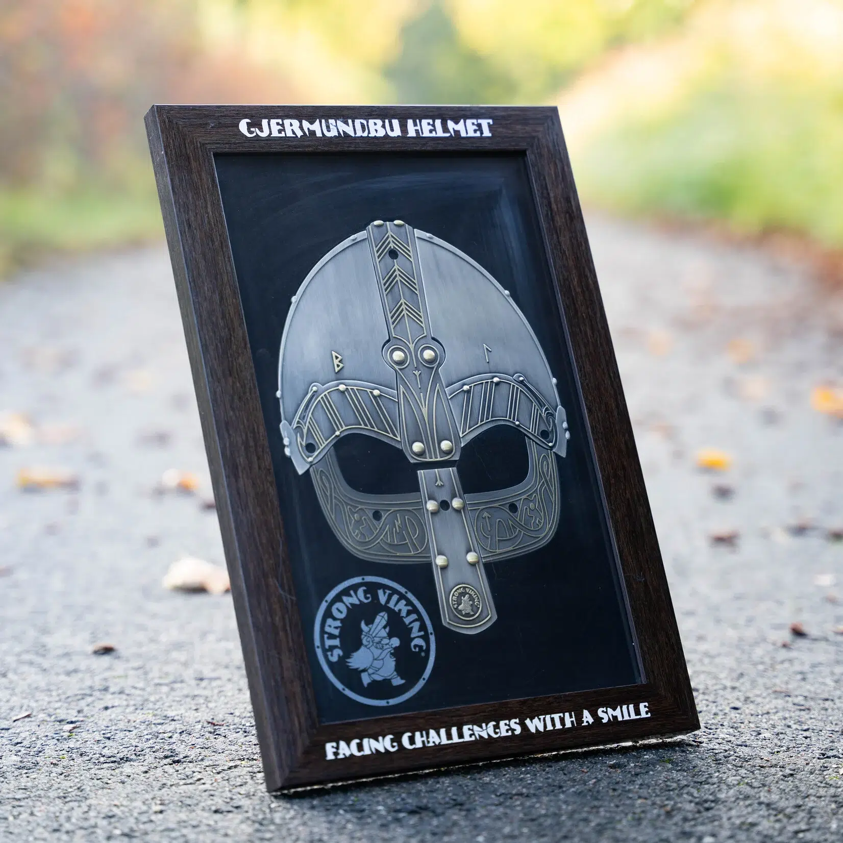 gjermundbu helmet medal frame